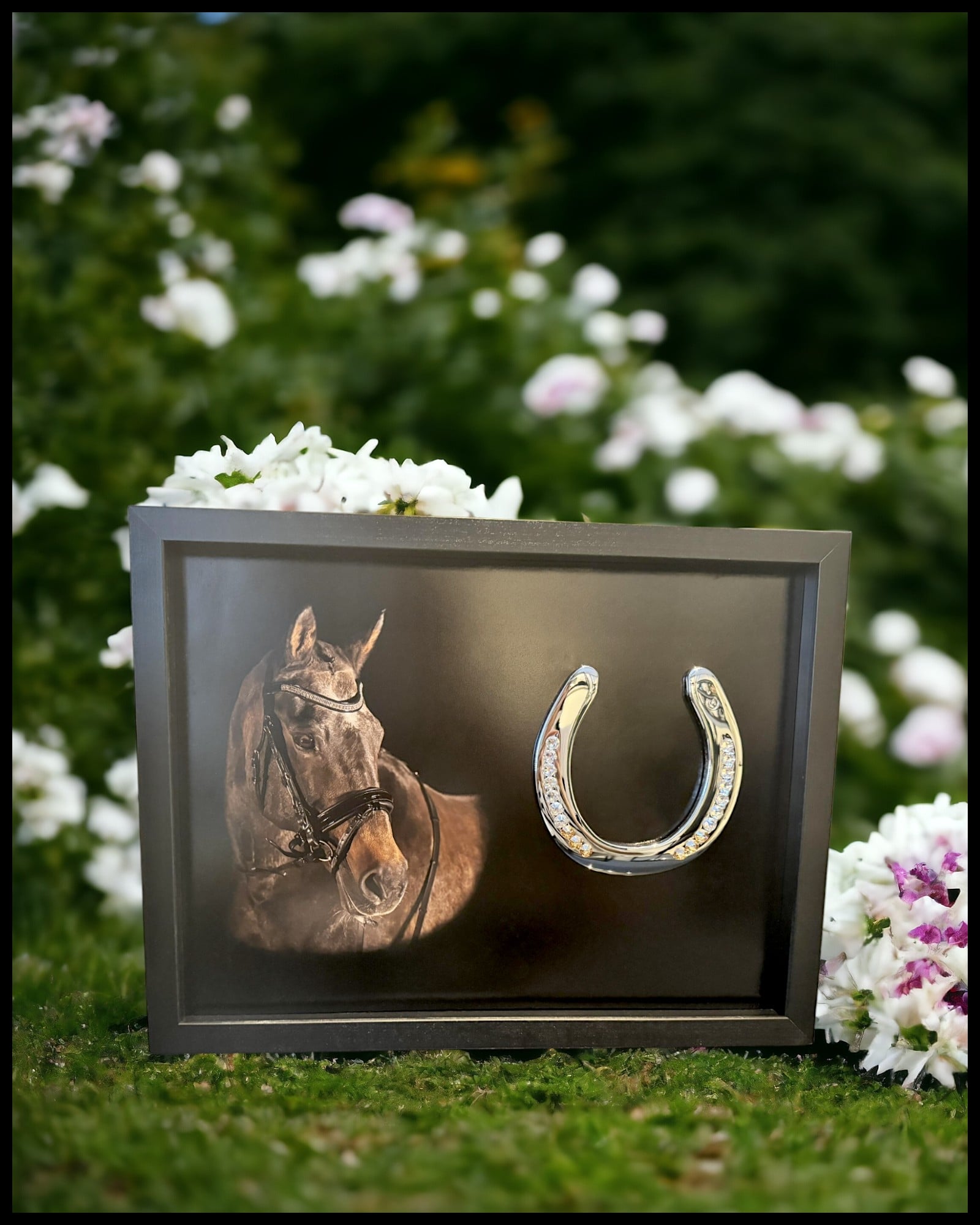 40x50 cm frame with own picture and horseshoe crome plated with big rhinstones and engraved sign.